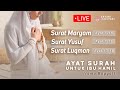 Surat Yusuf Surat Maryam Surat Luqman Kumpulan Ayat Al Quran Untuk Ibu Hamil Agar Sehat Dan Sempurna