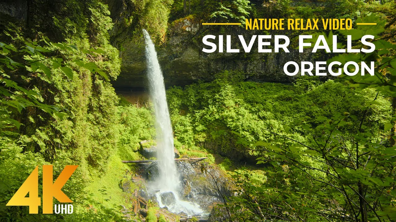 4K Scenic Nature Film - The Beauty of Forest Waterfalls in Silver Falls State Park, Oregon