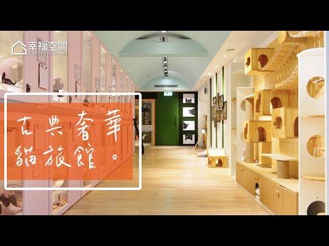 貓奴尖叫！喵星人の超奢華行宮