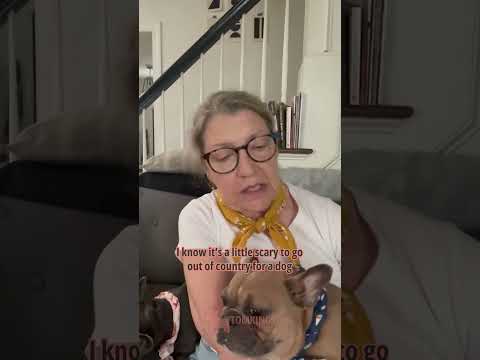 Customer video testimonial