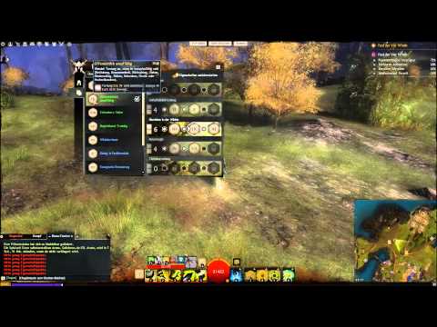 Guild Wars 2 PvP Klassenguide: Spirit Ranger 2.0