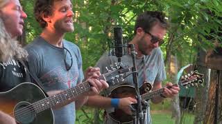 What About Everything  -CARBON LEAF-