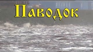 preview picture of video 'Паводок. Наводнение в Амурской области 2013'