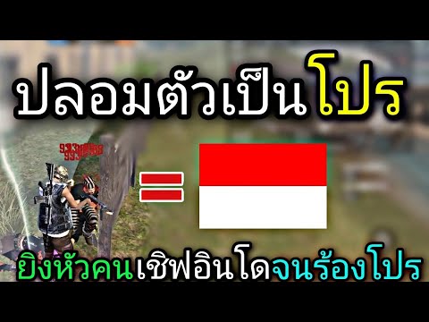 ฟีฟายเซิฟอินโด