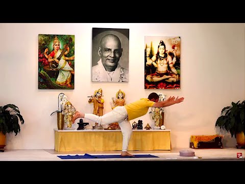 Yogaübungen Yoga Vidya Grundreihe Mittelstufe mit Kalidas - Live Yogastunde 16:15 Uhr 16.06.2020