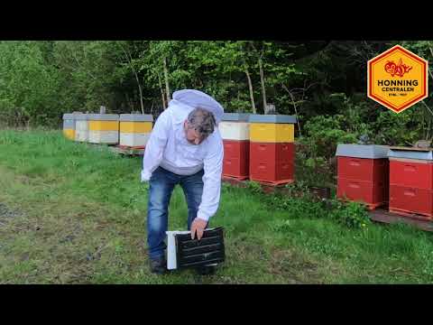 , title : 'Om foring av bier og honningforfalskning'
