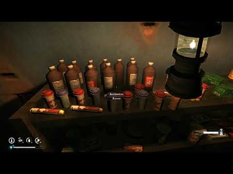 THE LONG DARK : The Will to Life, 500 day Interloper , steam achivement