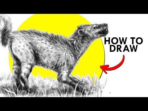 How To Draw A Hyaenodon