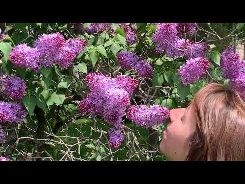 Ecstatic Experience Retreat May 27, 2023