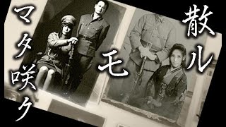「散ルモマタ咲ク」ちはやぶる【未完成状態】