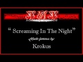 Screaming In The Night, Song & Lyrics Video