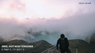 Novo Amor - Seneca (Fan-made MV)