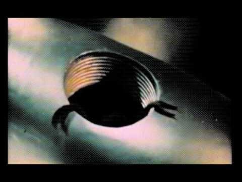 Bill Youngman - Trilogy [KILLEKILL 003]