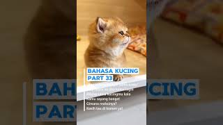 Download lagu Bahasa Kucing Part 33#lunarian #kucing #anakkucing #pecintakucing #bahasakucing mp3 Download lagu Bahasa Kucing Part 33#lunarian #kucing #anakkucing #pecintakucing #bahasakucing mp3