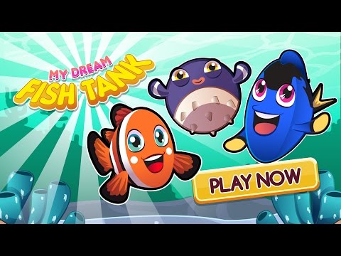 My Dream Fish Tank Aquarium Video