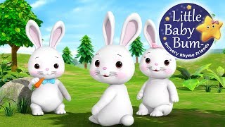 Little Baby Bum | Bunnies Bunnies | Nursery Rhymes for Babies | Songs for Kids