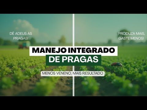 Manejo Integrado de Pragas (MIP): Estratégias Sustentáveis para o Controle no Campo