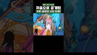 최신화) 처음으로 공개된 가짜 태양의 신의 정체! #onepiece #원피스
