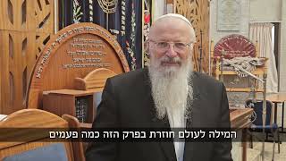 איך מביאים ברית שלום לעולם? | הרב שמואל אליהו | הלכה יומית | י״ח בתמוז תשפ״ה (הרב שמואל אליהו) - התמונה מוצגת ישירות מתוך אתר האינטרנט יוטיוב. זכויות היוצרים בתמונה שייכות ליוצרה. קישור קרדיט למקור התוכן נמצא בתוך דף הסרטון