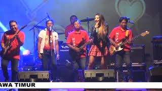 Lola Viola - Sak Kuku [OFFICIAL]