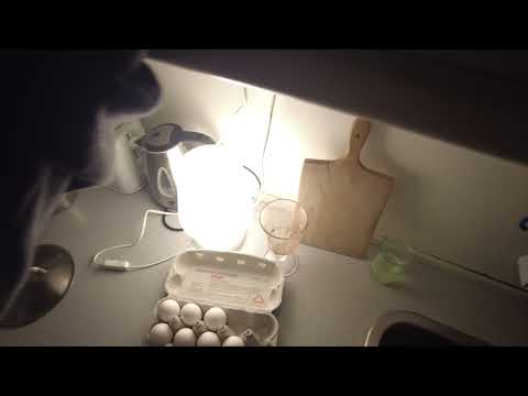 MongoTV_8357 - ENGLISH VLOG - Have a Good Tuesday - Cooking Hot Food