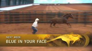 On FSN Sunday, August 14th, 2011:  Clinton fixes an aggressive and dangerous horse.