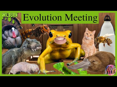 Evolution Meeting