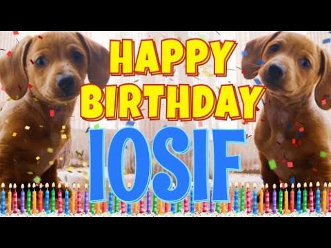 Happy Birthday Iosif! ( Funny Talking Dogs ) What Is Free On My Birthday