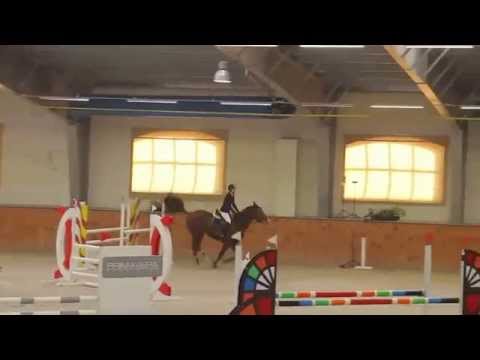 Julia Wiśniewska & Dolar- kl.P, Dąbrówka Mała 28.03.2015r.