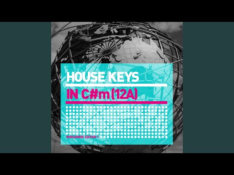 Yoko Mono (Lazt Ants Remix)