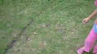 amrina and asyraf play ball