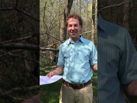 Find Your Wilderness. Torah Thoughts with Rabbi Alex.