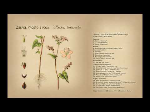 "Wczora była zimna rosa"