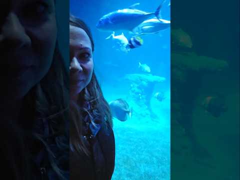 ZOO Afrykarium Wrocław Poland 2024