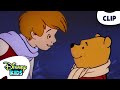 Pooh Wishes On A Star The New Adventures Of Winnie The Pooh Disneykids