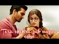 Meri Bechainiyon Ko Chain Mil Jaye Tera Chehra HimeshReshmiya SanamTeriKasam