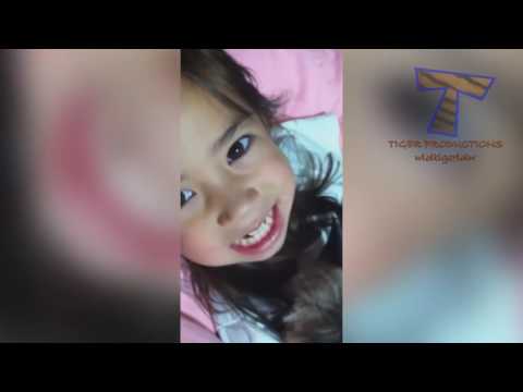 The funniest and most humorous cat videos ever!   Funny cat compilation