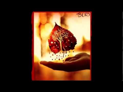 Bea Dostálová - Bea Ch. Dostálová - Vážně