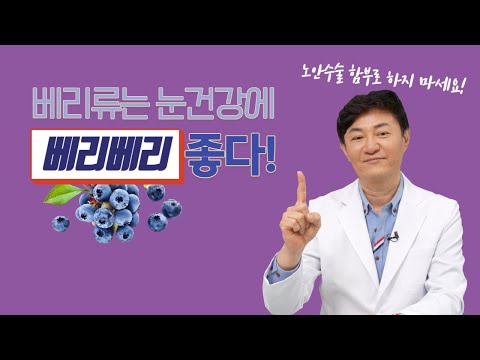 블루베리는 뇌 건강에 좋다? 과학이 말하는 진실