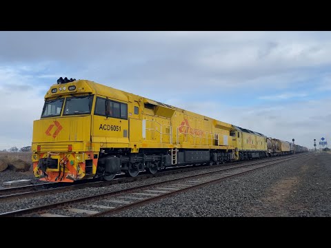 5XM1 Aurizon intermodal with ACD6051 G535 + fuel pod, CerwCar and GL102 at Gheringhap loop 23/5/2025
