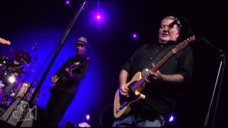 Los Lobos - Band Introductions / Always and Forever (Live in Sydney) | Moshcam