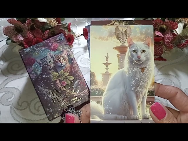 Vídeo relacionado con CFEWV Tarot para Principiantes, Cartas de Tarot con Tema Felino, Mazo de Cartas para Adivinación y Juego, Ideal para Aprendizaje y Entretenimiento, Diseño Único