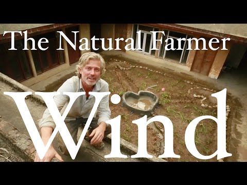 Wind in Permaculture Design - John Kaisner The Natural Farmer