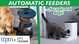 Automatic Pet Feeders Review | Schedule Meals For Your Dog O
