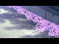 Enchanted Taylor Swift Slowed Reverb