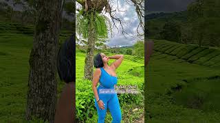 Download lagu Blue #viralvideo #warung #shortvideo #vlog #sarahardheliafitness mp3