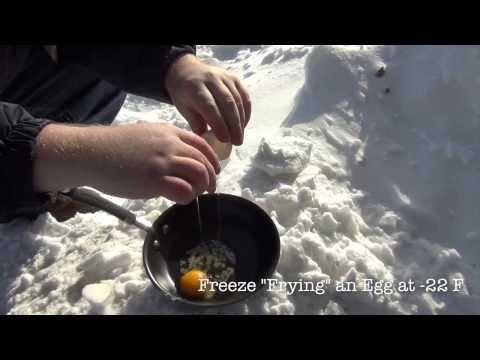 Freezing an Egg