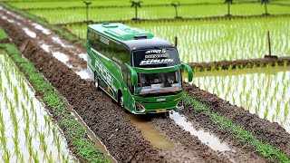 Download lagu Ini Bukan Bus Asli?! 🚌 Bus pariwisata MSM Fadel Maudi perjalanan dari Desa | Miniatur Diorama mp3