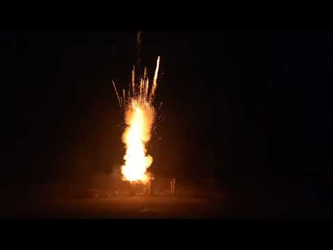 6 inch pink peony from Wizard