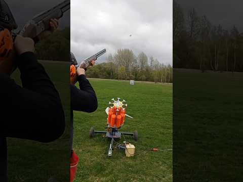 Beretta 686 Silver Pigeon | 20 Gauge Over Under Shotgun Review